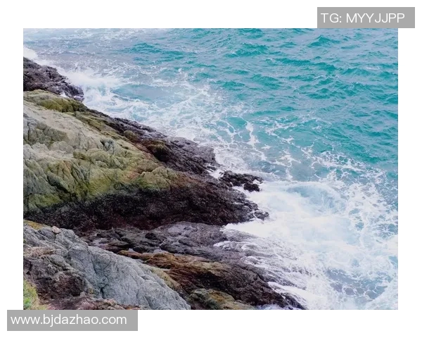 杨磊独家分享极限运动心得与技巧助你突破自我极限挑战极限运动的魅力与乐趣 杨磊独家分享极限运动心得与技巧助你突破自我极限挑战极限运动的魅力与乐趣