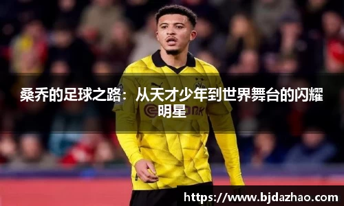 爱游戏ayx